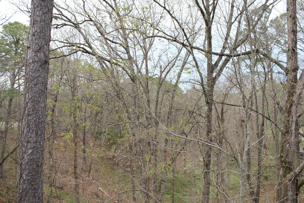 Brydan Suites Eureka Springs Exterior foto